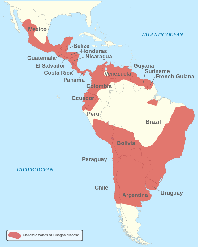 Armut Bildung Lebenstandard Wurde Lateinamerika Und Die Karibik Aus Nur 100 Einwohnern Bestehen Dann
