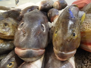 Fischpreis in Uruguay