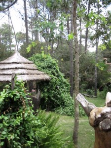 Hütte im Wald in Uruguay